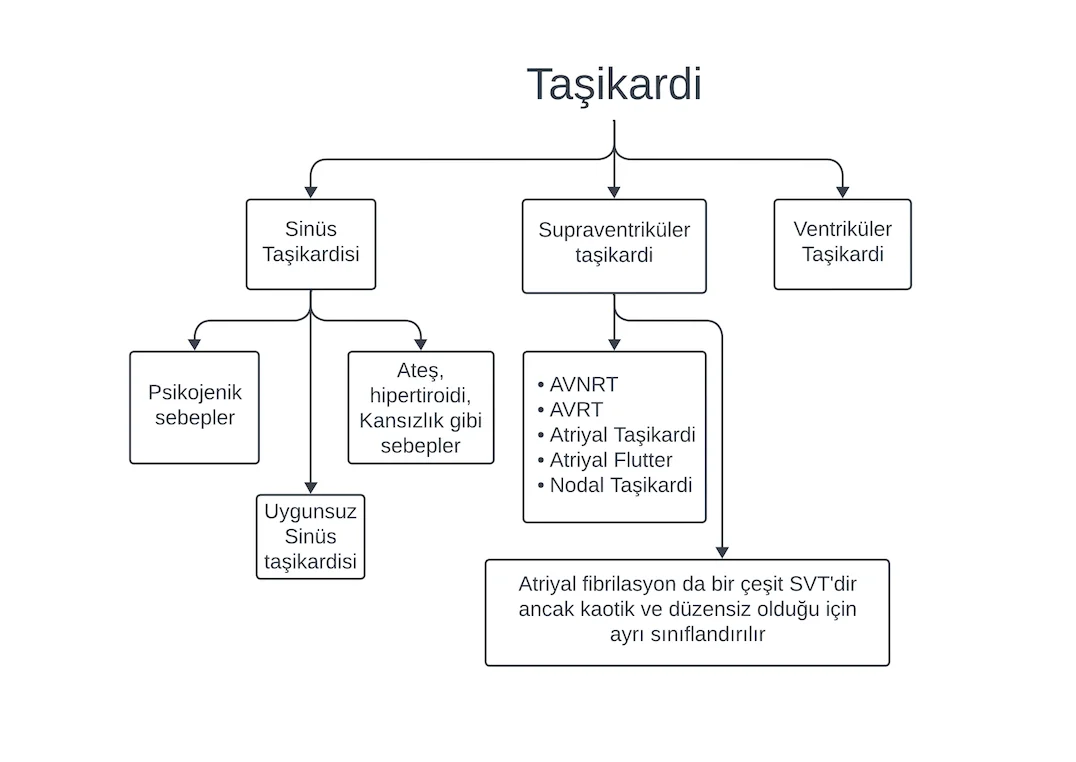 Taşikardi Türleri