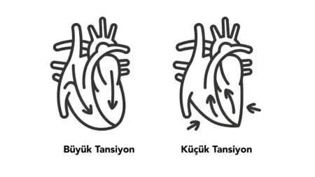 Küçük Tansiyon (Diyastolik Tansiyon)